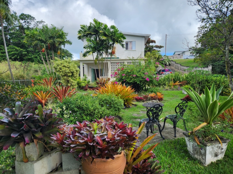 Plantain walk Barbados