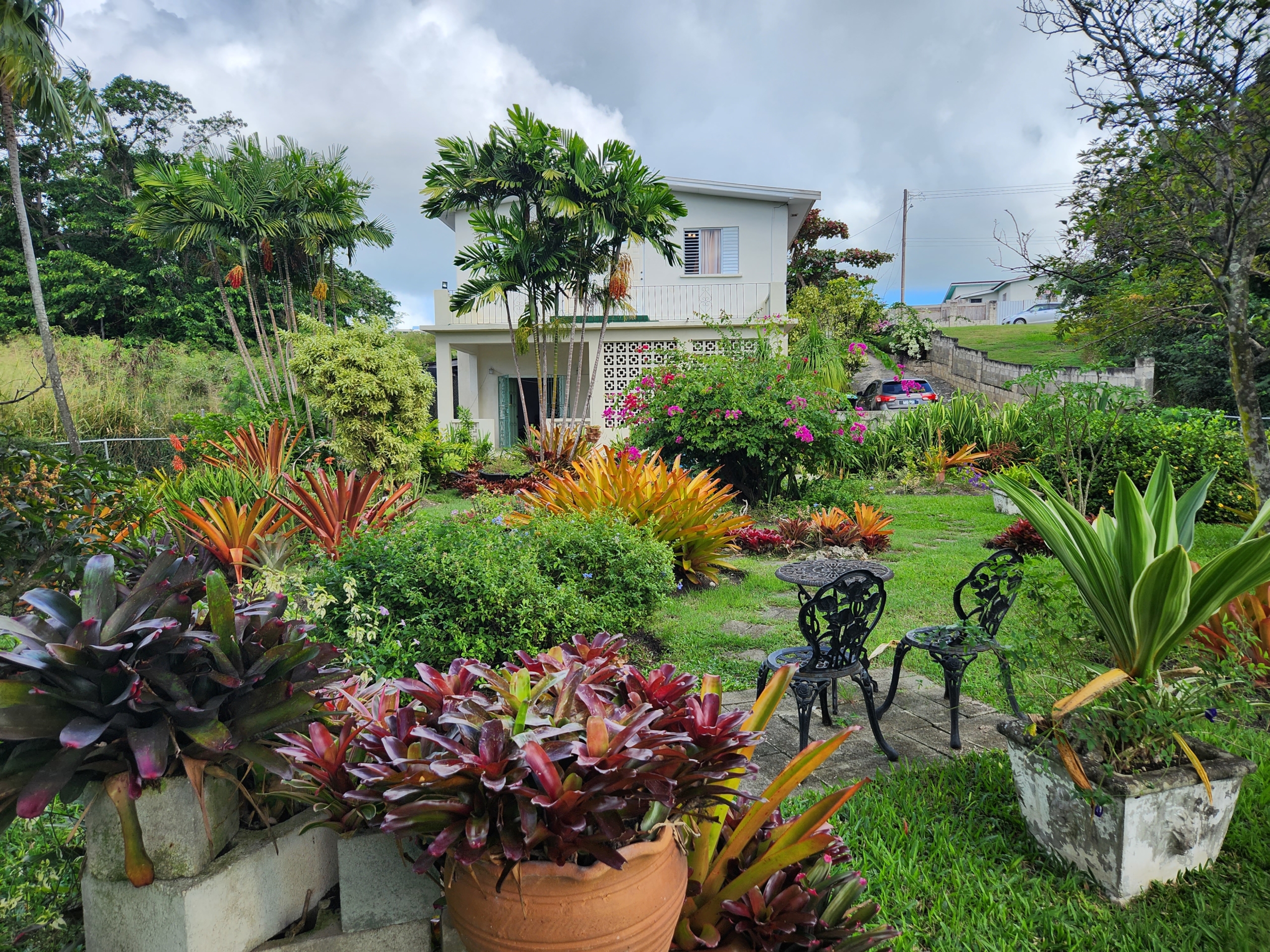 Plantain walk Barbados